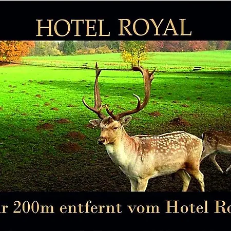 Royal فندق باد سالزفلن