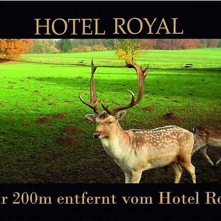 Hotel Royal Bad Salzuflen